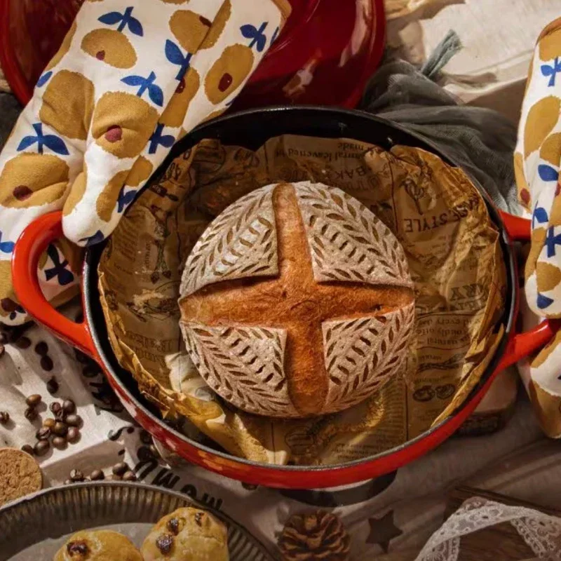 Sartén de Pan de hierro fundid - Dutch Oven Enamel reseña y precio